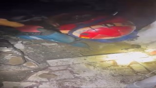 Yaramaz kedi, kaza kaza kendini toprağa gömdü