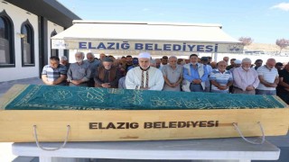 Yarım saat ara ile 2 otomobilin çarptığı yaşlı adam hayatını kaybetti