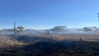 Yatağanda tarlada çıkan yangın ekipler tarafından söndürüldü