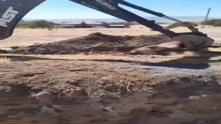 Yazıkonakta ölü hayvanın yerleşim alanına gömülmesine vatandaştan tepki