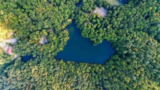 Yedigöllerde sonbahar cümbüşü