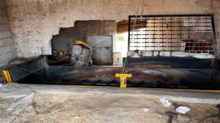 Yem karma tankına düşen işçi yaralandı