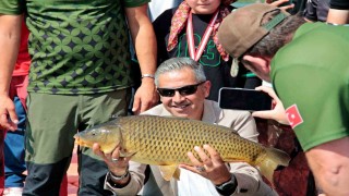 Yem kırma makinesinde hayatını kaybeden Mehmet Taş anısına yarışma düzenlendi