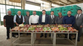 Yenişehirin tarım ürünleri Libya yolunda