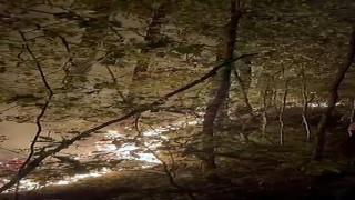 Yığılcadaki orman yangını söndürüldü