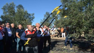 Yılın ilk zeytinyağı üretimi yapıldı
