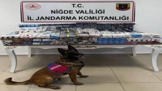 Yol kontrolünde 3 bin 606 paket kaçak sigara ele geçirildi