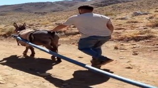 Yolalanda eşeklerle su seferberliği