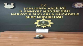 Yolcunun çantasından uyuşturucu çıktı