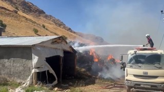 Yüksekovada 20 bin bağ ot kül oldu