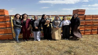 Yüksekovada arıcılığa kadın eli değiyor: Bin 275 kovan desteği verildi