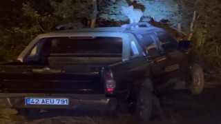 Yüksekovada dost canlısı tilki: Önce arabanın üzerine çıkıyor, sonra elle besleniyor