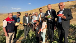 Yüksekovada mısır, karpuz ve kavun hasadı yapıldı