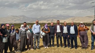 Yüksekovada şap hastalığı kontrol altına alındı