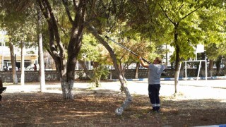 Yunusemre Belediyesi okullarda bakım çalışması yaptı