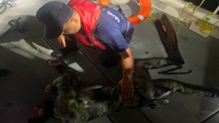 Yüzerek Yunanistana geçmeye çalıştı