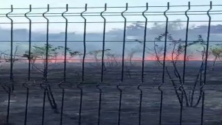 Ziraat meslek lisesinin bahçesi alevlere teslim oldu