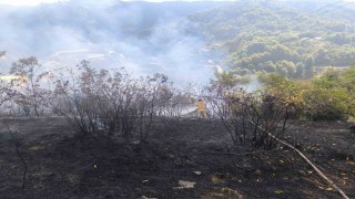 Zonguldakta 2 dekarlık alanda örtü yangını