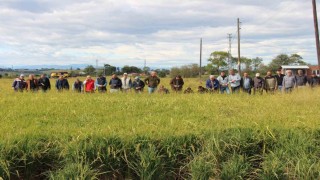19 Mayıs ilçesini dolu vurdu