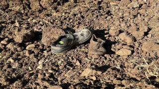 4 kuzene mezar olan kuyu toprakla kapatıldı