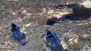 5 yıldızlı otele silahla saldırıp bahçede kıyafet değiştirmişler