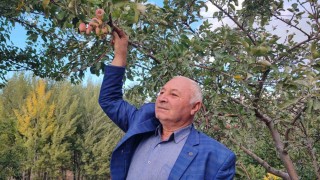 60 yaşındaki çiftçi: İlk kez böyle bir şey görüyorum