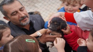 600 öğrenci barınaktaki can dostlarını ziyaret etti