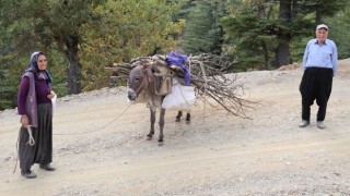 Adana’da Eşekle Odun Taşıyan Çift Nostalji Yaşattı