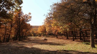 Afyonkarahisarda sonbahar masalsı görüntüler ortaya çıkardı