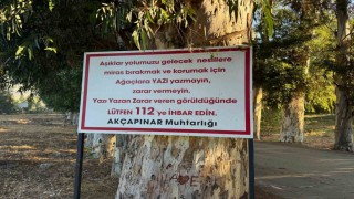 Ağaçlara yazı yazanları tabela ile uyardı