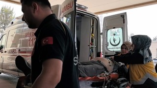 Ağaçtan düşen adam hayatını kaybetti