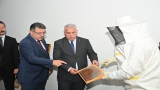 Ağasar Balı markalaşacak