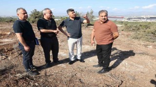 Akdeniz Belediyesinden sokak hayvanları için doğal yaşam alanı