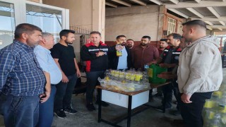 Akdeniz meyve sineği ile mücadele sürüyor