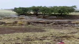 Aksaraya mevsimin ilk karı yağdı