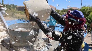 Aksaraydan yurt dışına gönderilecek organik sarımsakların ekimi başladı