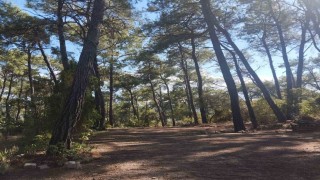 Akyaka Gökova Orman Parkında temizlik ve elektrik yenileme çalışmaları başladı