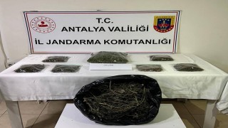 Alanyada uyuşturucu operasyonu: 800 gram uyuşturucu ele geçirildi