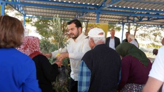 Alanyadaki yangın bölgesinde 3 bin 400 zeytin fidanı bahçe sahiplerine dağıtıldı