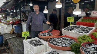 Alaplıda hamsi 100 liradan alıcı buldu