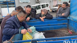 Alaplıda kuraklık ve gal arısı istilası ünlü kuzu kestanesini de vurdu