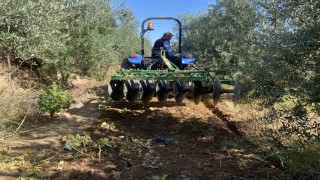 Alaşehirde çiftçilerin yağmur sevinci