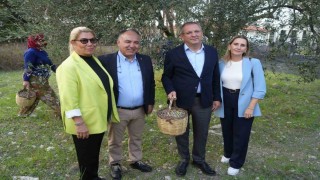 Ali Uçar: Zeytinyağında hedef markalaşmak