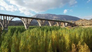 Alman Köprüsünün etrafında renk cümbüşü