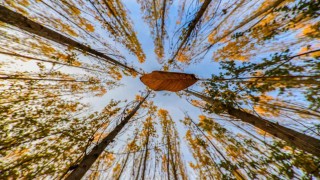 Altın ve kızılın dansı: Erzincanın dağları sonbahar güzelliğiyle büyülüyor