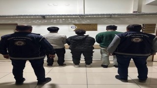 Amasyada 3 kaçak göçmen yakalandı