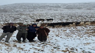 Aniden kar bastırınca yaylada mahsur kalan kadın kurtarıldı