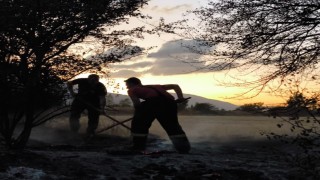 Anız yangını itfaiyenin müdahalesiyle söndürüldü