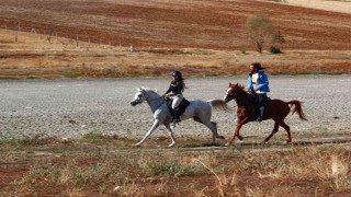 Ankarada son 40 yılın en kurak yılı göleti kuruttu