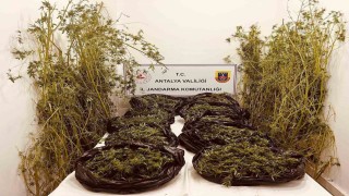 Antalyada 53 kilo uyuşturucu ele geçirildi